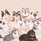 3D Cats & Dogs Desk Calendar