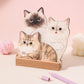 3D Cats & Dogs Desk Calendar