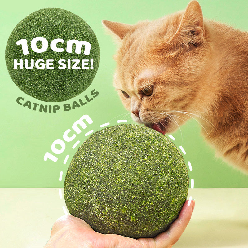 Huge Catnip Balls