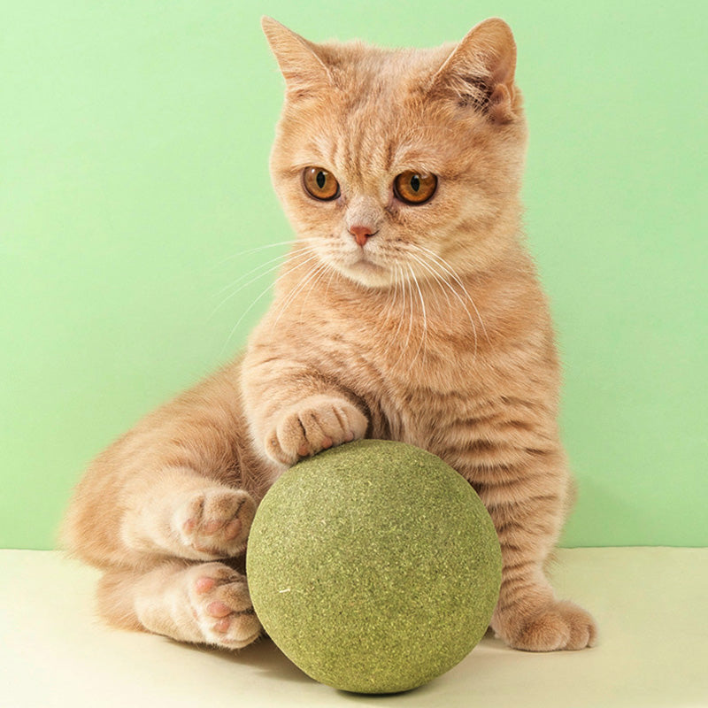 Huge Catnip Balls